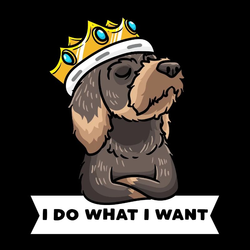 Stubborn rough-haired dachshund