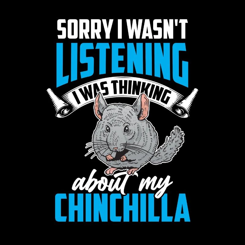 Chinchilla a pensé à la souris laineuse