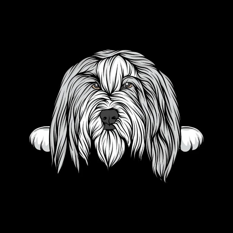 Chien