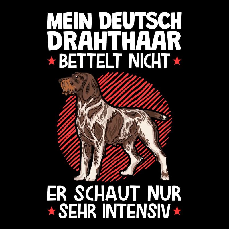 Deutsch Drahthaar bettelt nicht Jagdhund