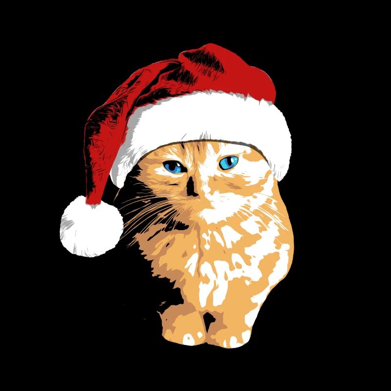Chat avec chapeau de Noël Chat de Noël