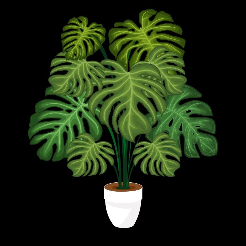 Monstera Deliciosa