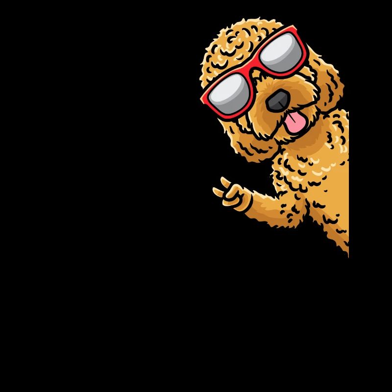 Cockapoo Hund Mit Sonnenbrille Von Seite
