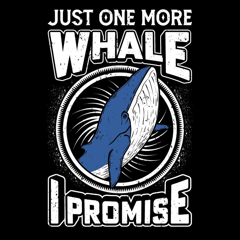 Observation des baleines Observation des baleines Orques Bleu Baleine
