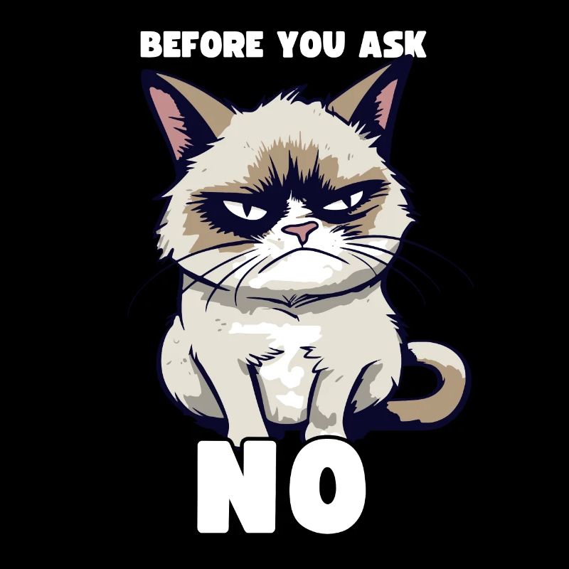 Grump Cat - Before You Ask No - Zynischer Spruch