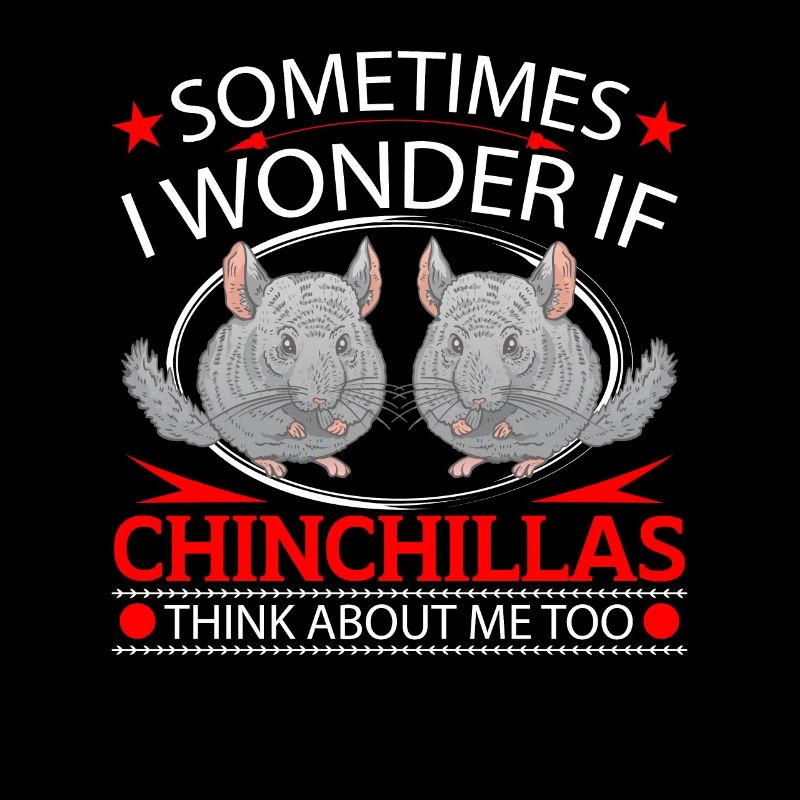 Chinchilla pense à moi souris laineuse rongeur