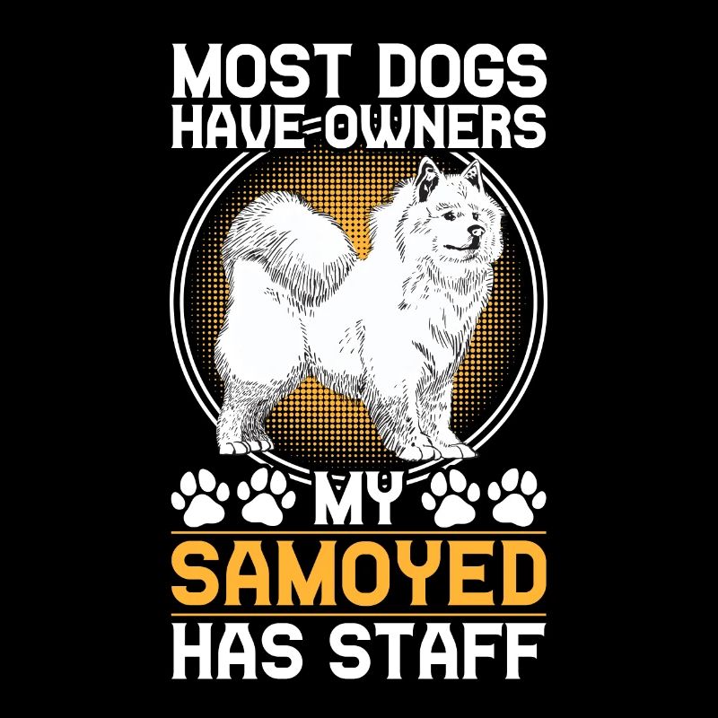 Samoyed has staff Samoyed Spitz