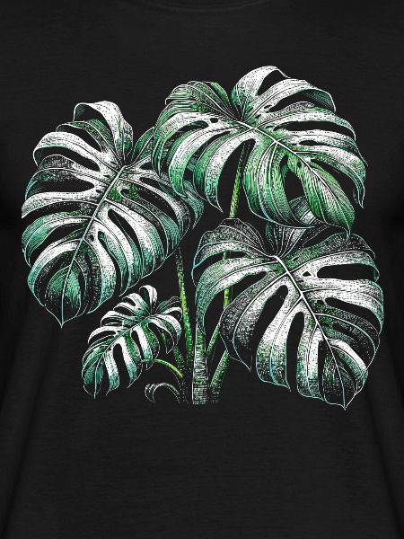 Variegated Monstera