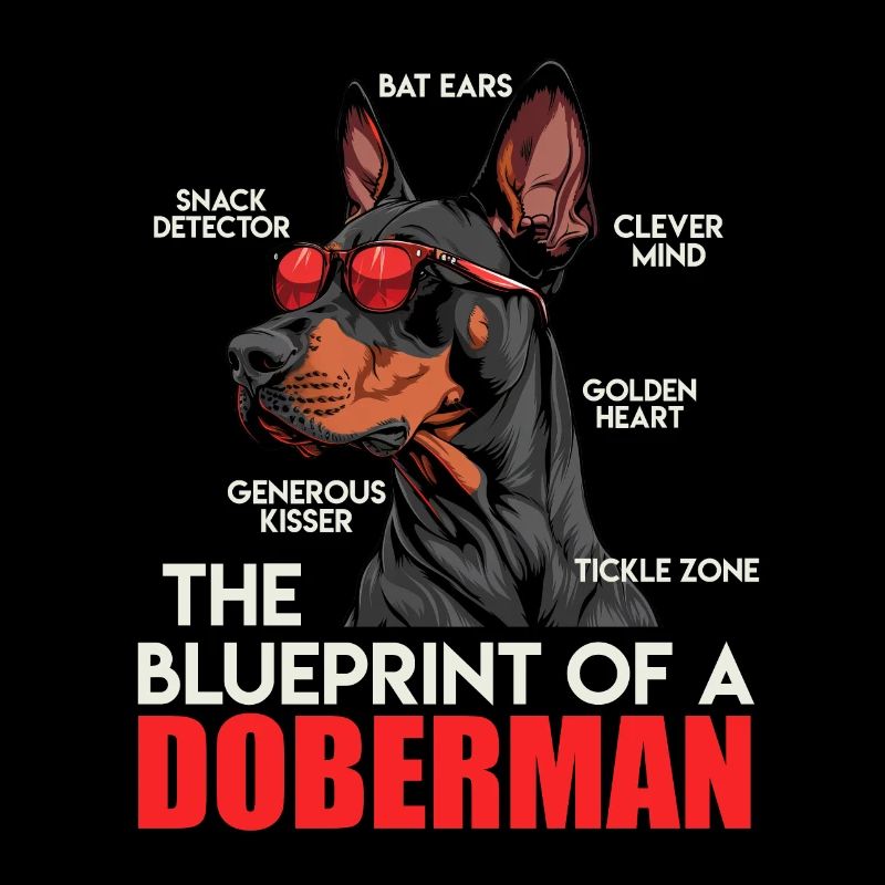 Doberman propriétaire plan d’un doberman drôle