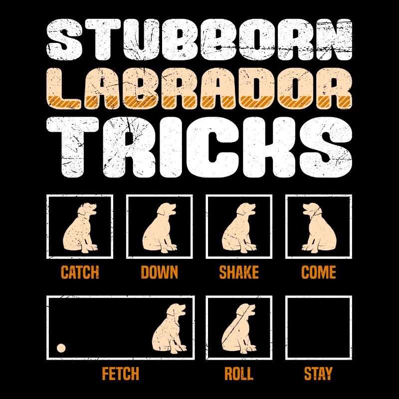 Labrador Owner STUBBORN LABRADOR TRICKS