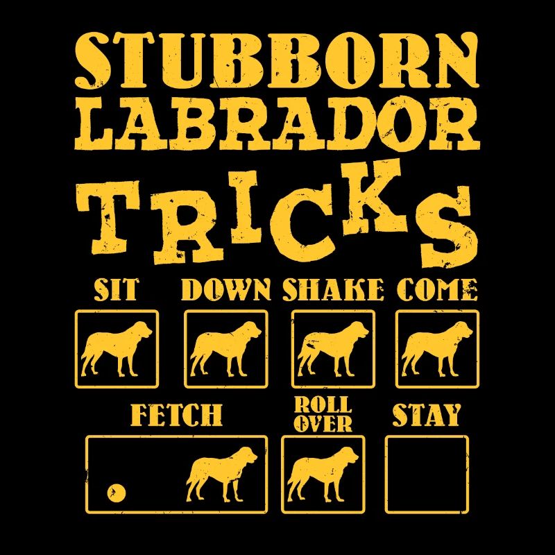 Labrador Propriétaire TRICKS LABRADOR TÊTU Drôle