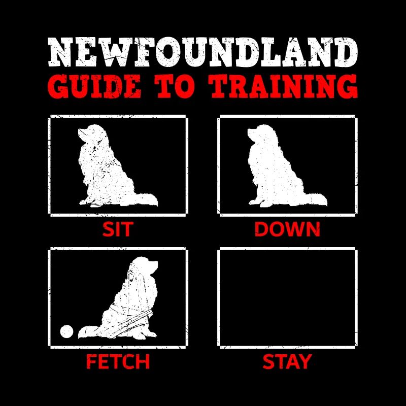 Newfie Besitzer NEWFOUNDLAND GUIDE TO TRAINING