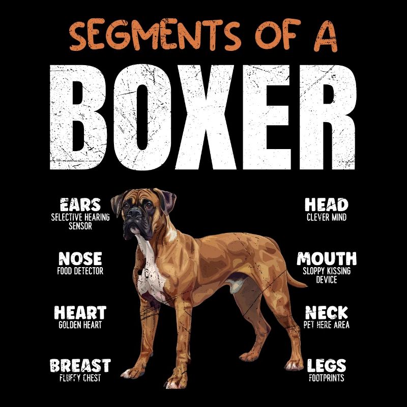 German Boxer COMPONENTS OF A BOXER Funny