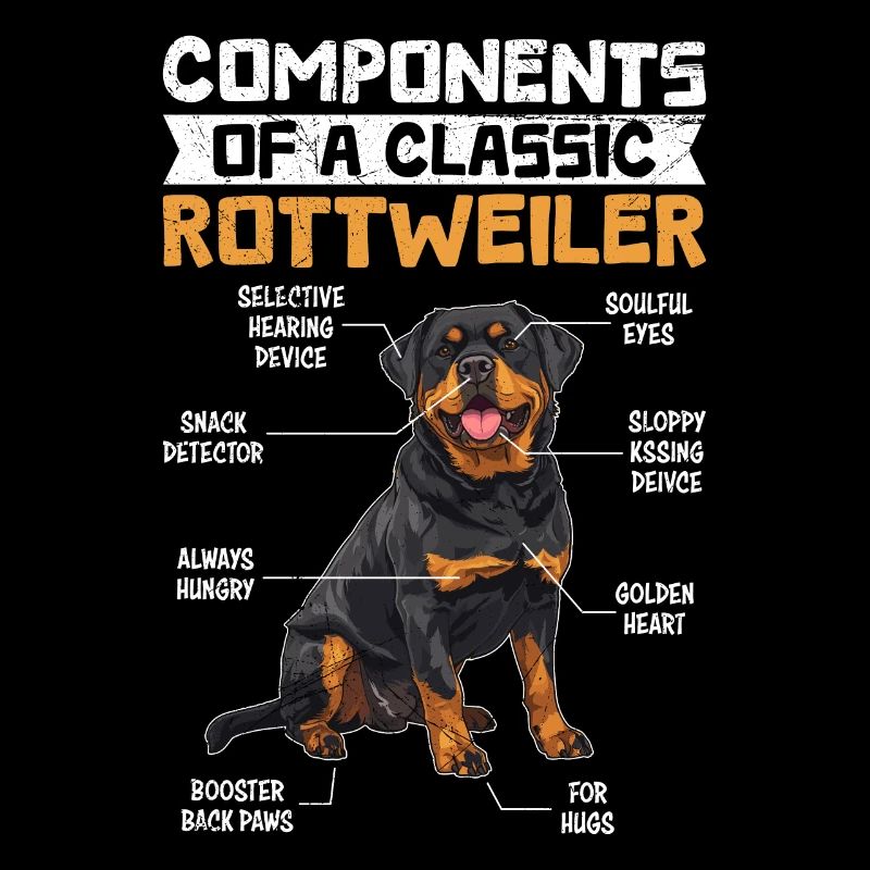Propriétaire de Rottweiler COMPOSANTS D’UN ROTTIE CLASSIQUE