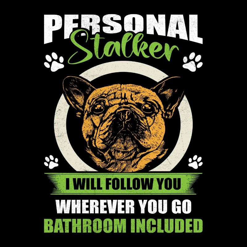 Bouledogue français PERSONAL STALKER drôle