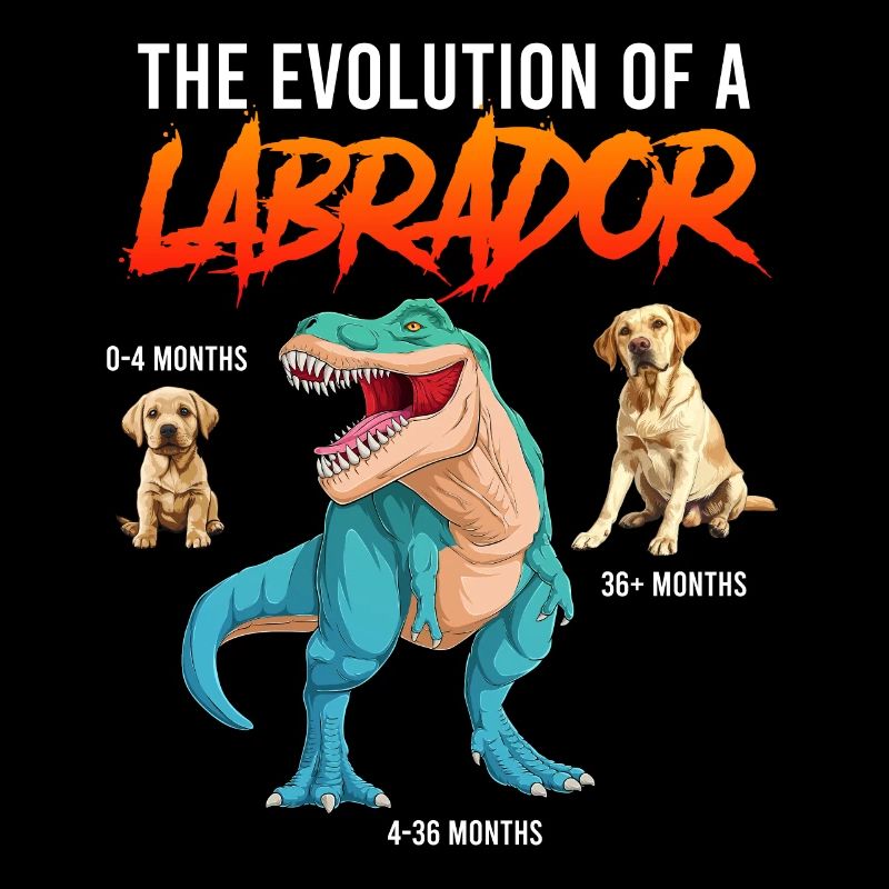 Labrador Fan THE EVOLUTION OF A LABRADOR Dino