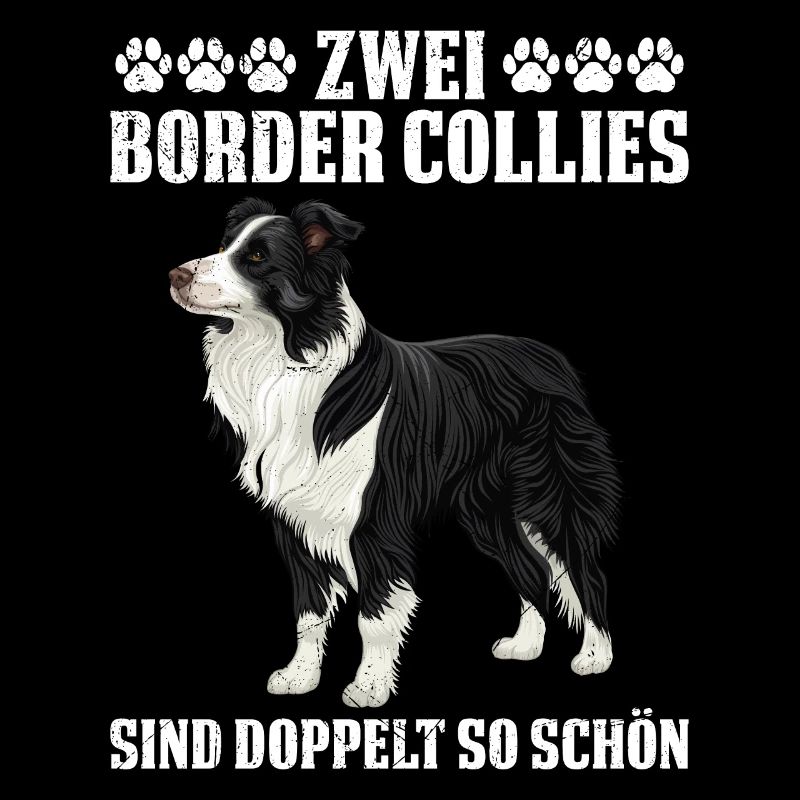 Border Collie 2 LES BORDER COLLIES SONT DEUX FOIS PLUS BEAUX