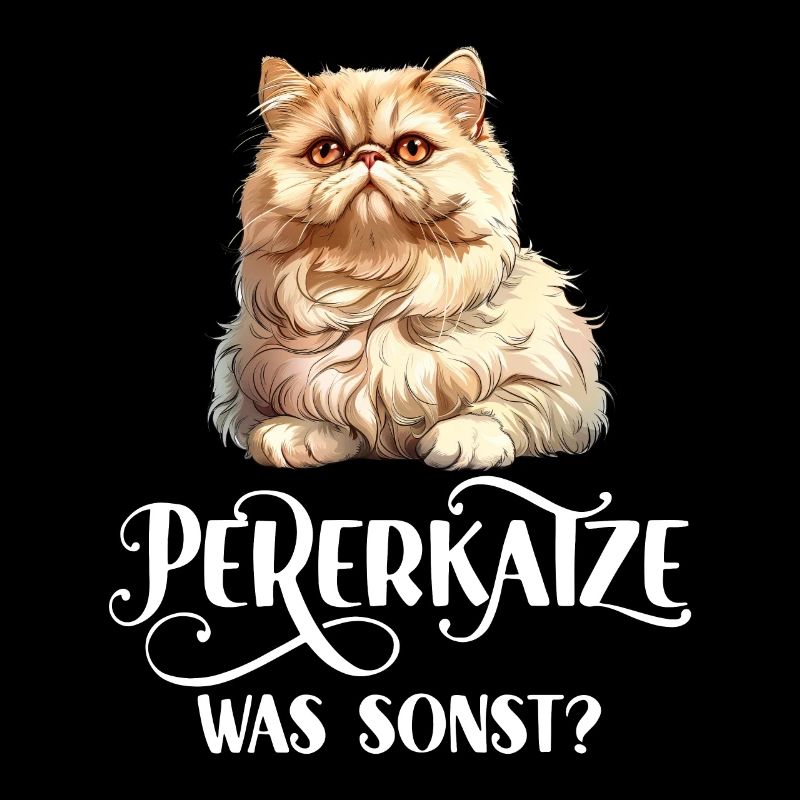 CHAT PERSAN QUOI D’AUTRE ? Chats persans cool