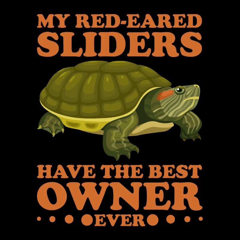 Red-eared Turtle Turtle