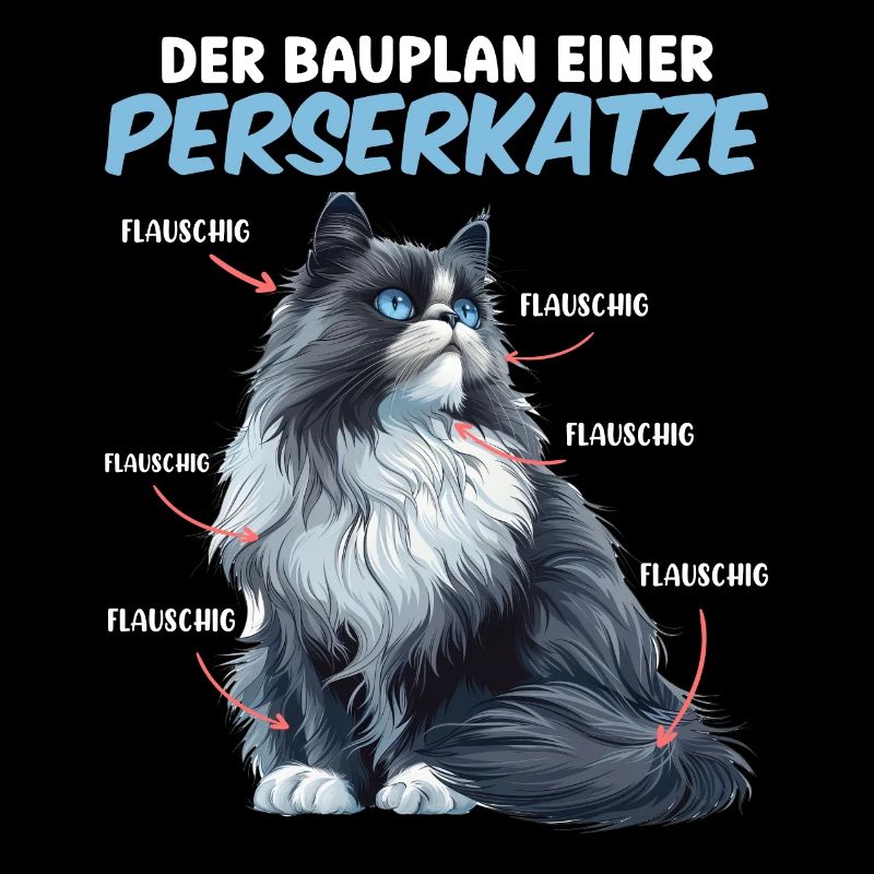 Chats persans LE PLAN D’UN CHAT PERSAN