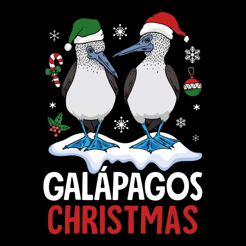 Noël aux Galapagos