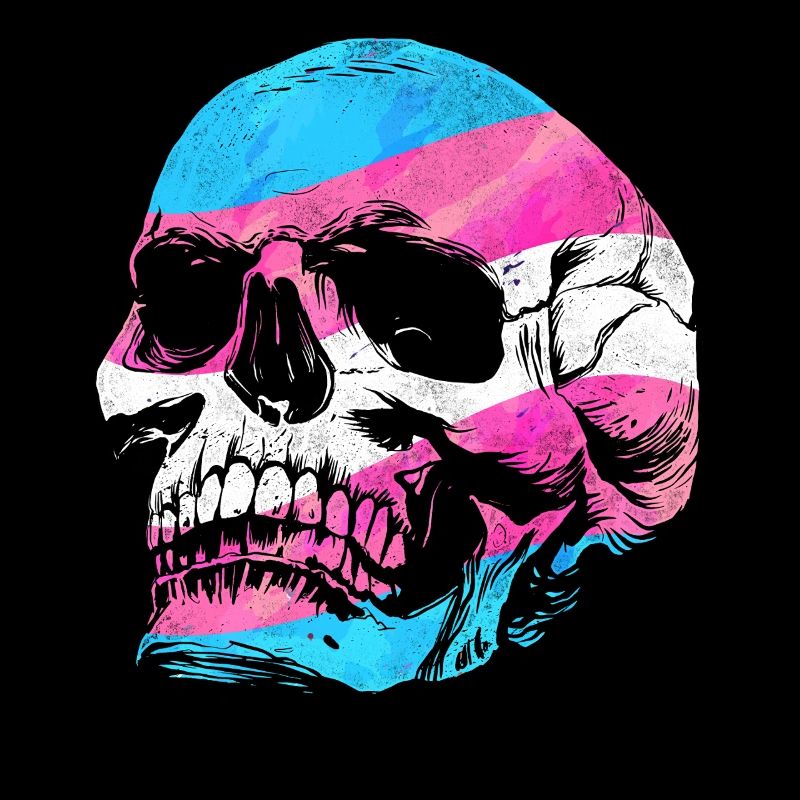 Transgender Trans LGBT Pride