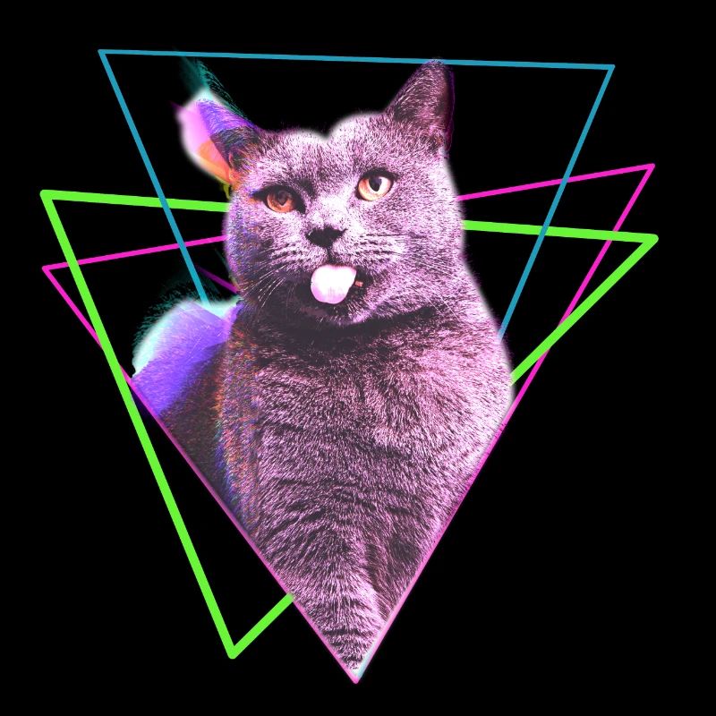 cool cat design with geometric shapes