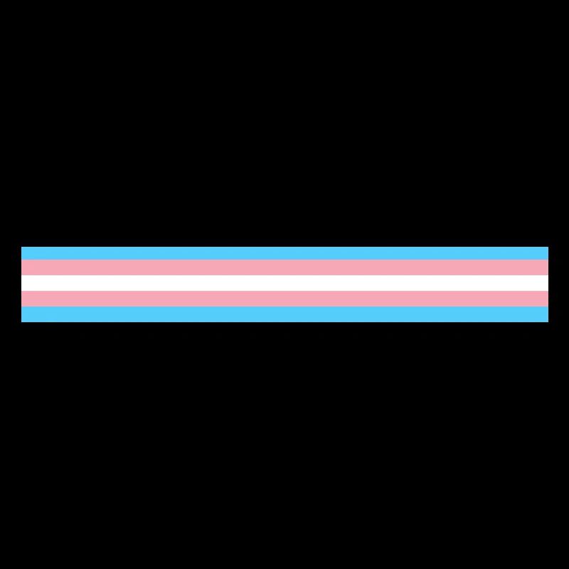 Transgender flag as a stripe