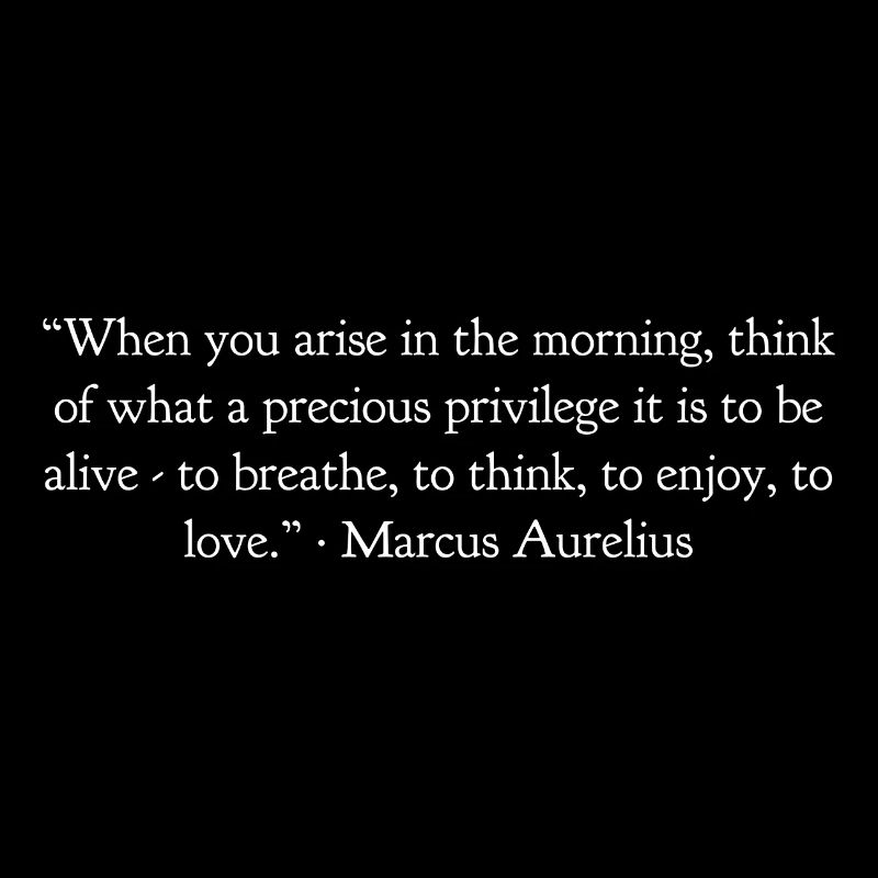 Quand tu te lèves le matin Marcus Aurelius