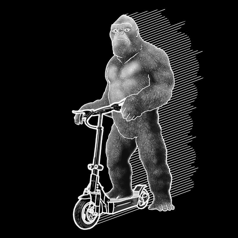 Elektroroller E-Roller King Kong Geschenkidee
