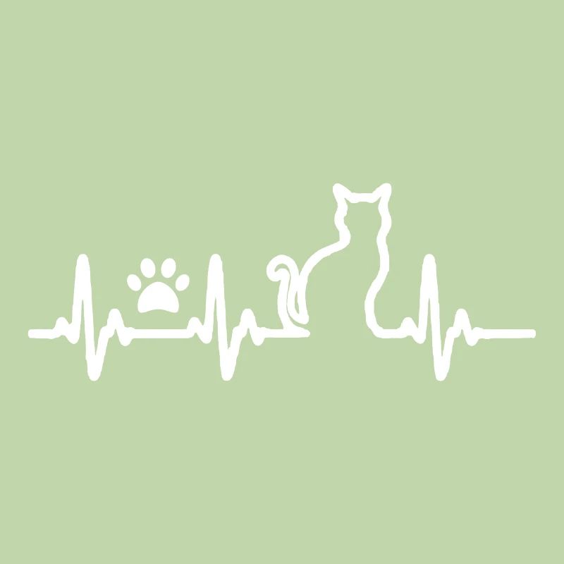Cat lover, evolution shirt