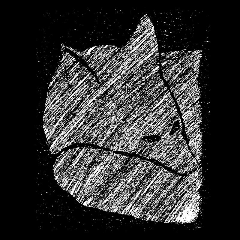 Fuchs, Füchse