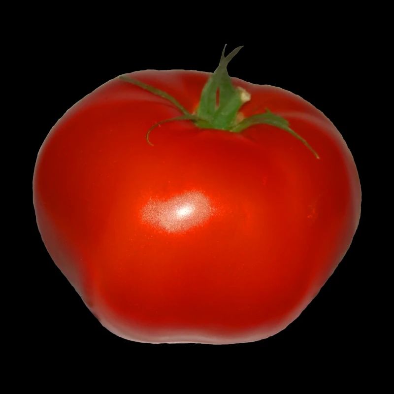 tomate
