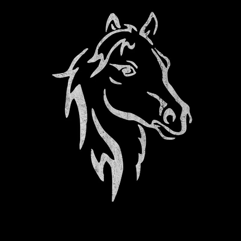 Cheval, chevaux, équitation, cavalier, étalon, course, S