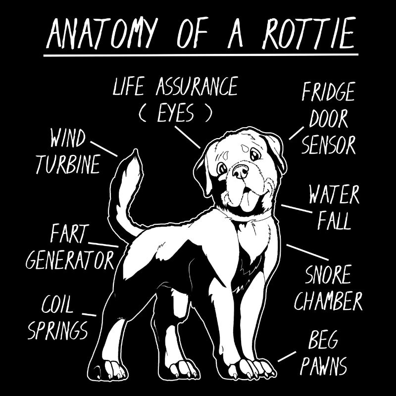 Anatomie d’un Rottweiler