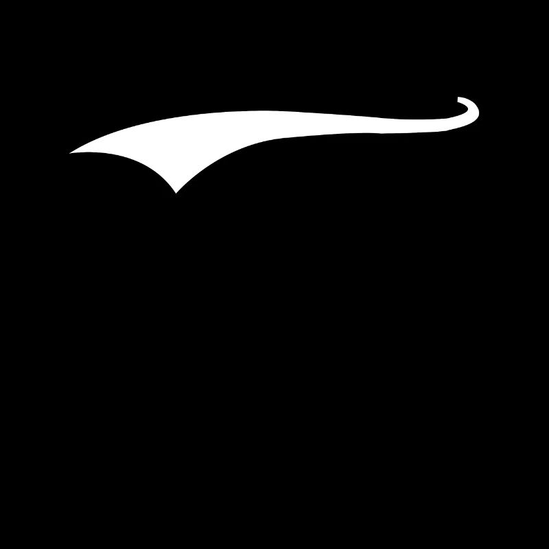 Swoosh sottolinea Swash