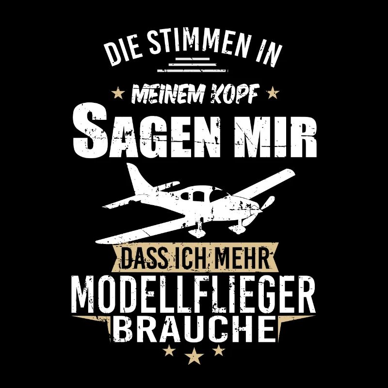 Modellbau Flugzeug Modellflug