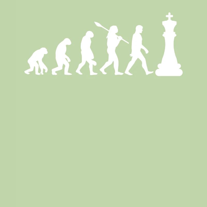 Chess evolution