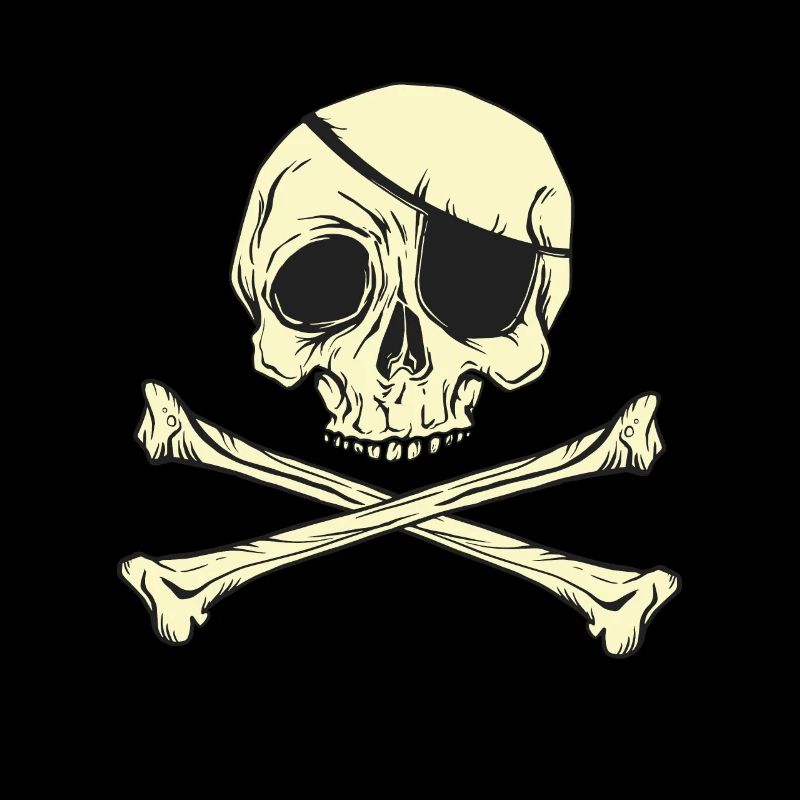 Jolly Roger pirate skull eye patch