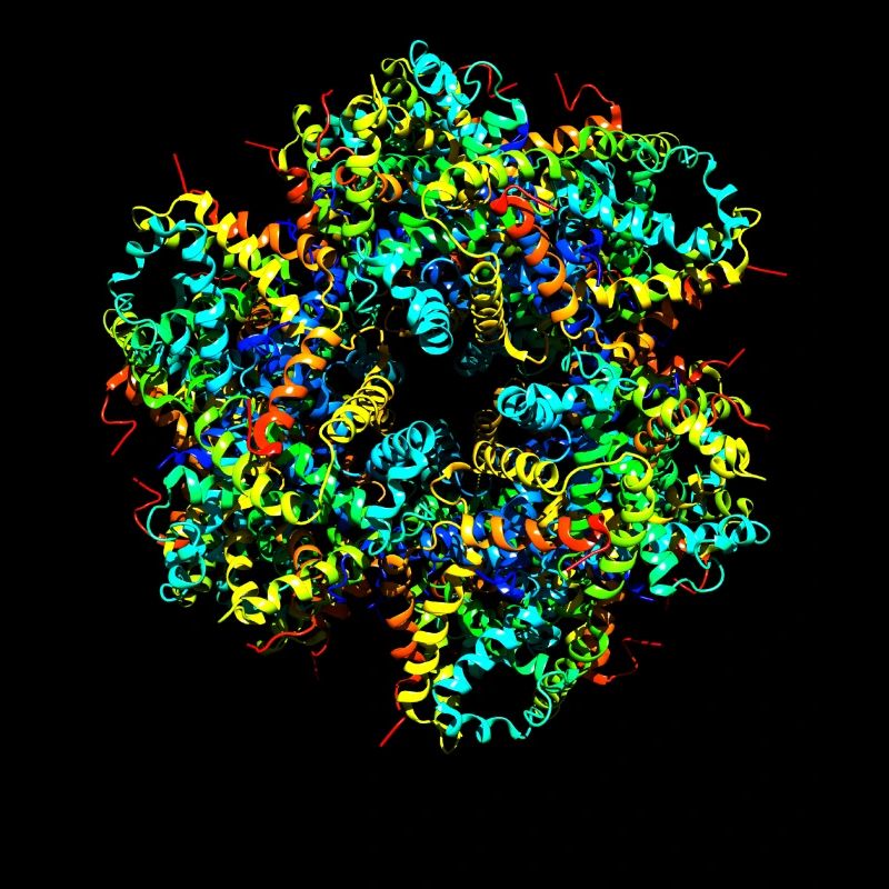 Cool Protein Molecule Chemistry Nerd Hemoglobin