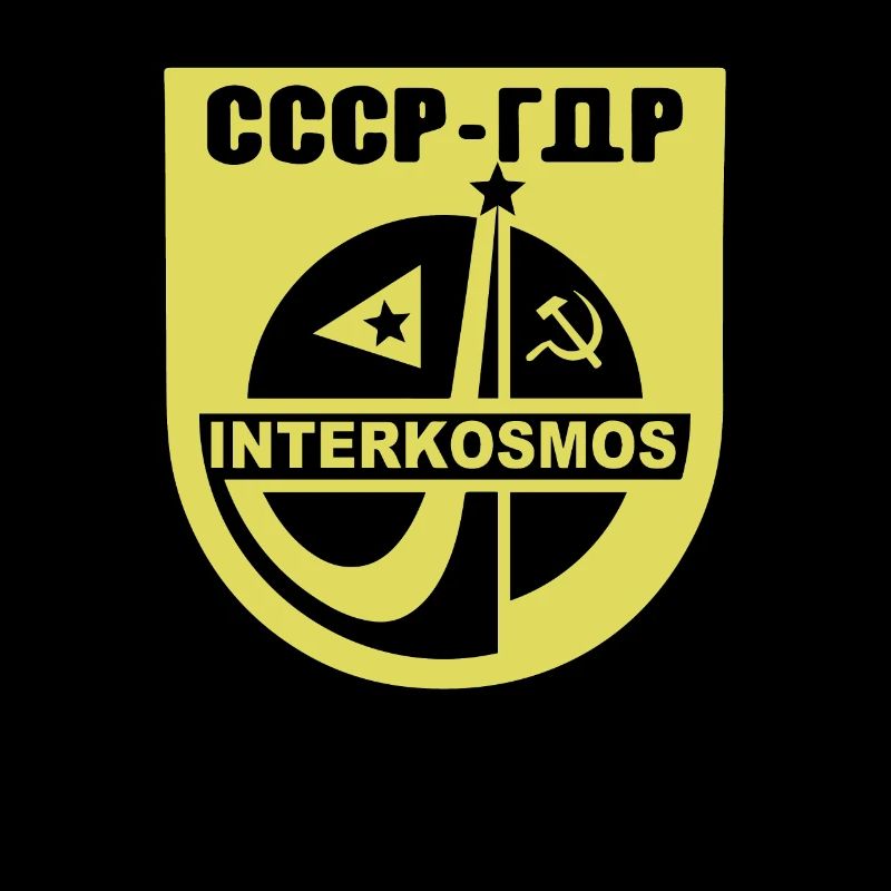 Weltraum Interkosmos