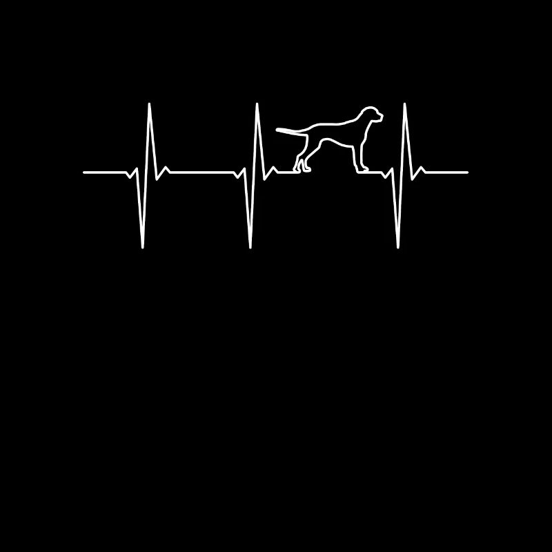 Hund EKG