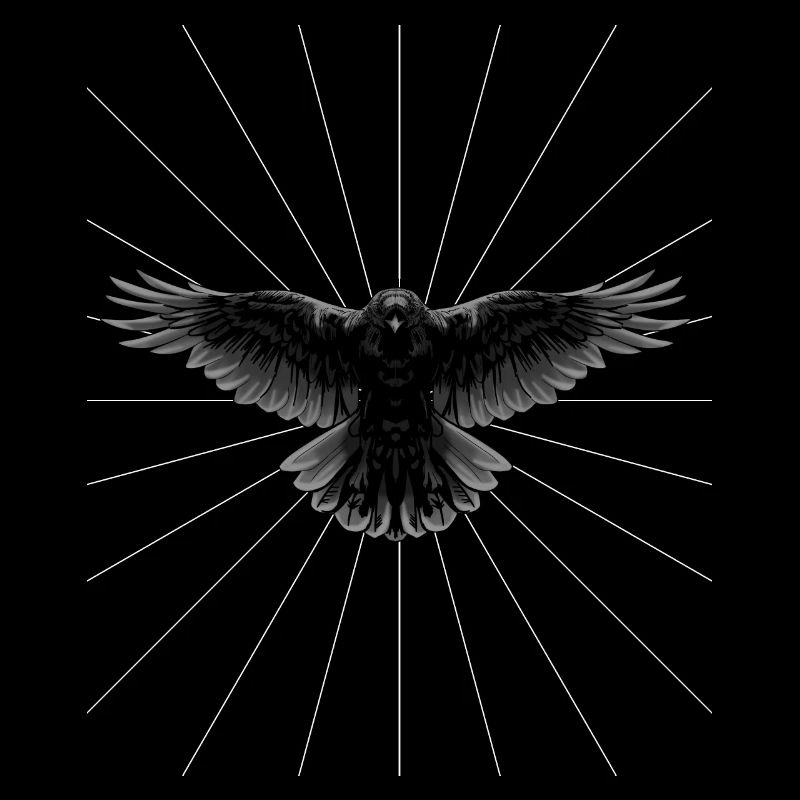 Rays Raven Crow Bird Bird Illustration Dark