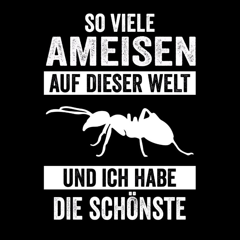 Ameisen Ameise