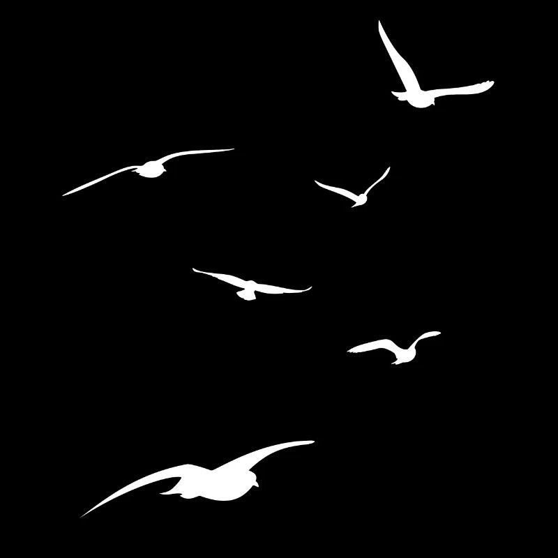 Volée de mouettes - vacances à la mer - plage - ciel