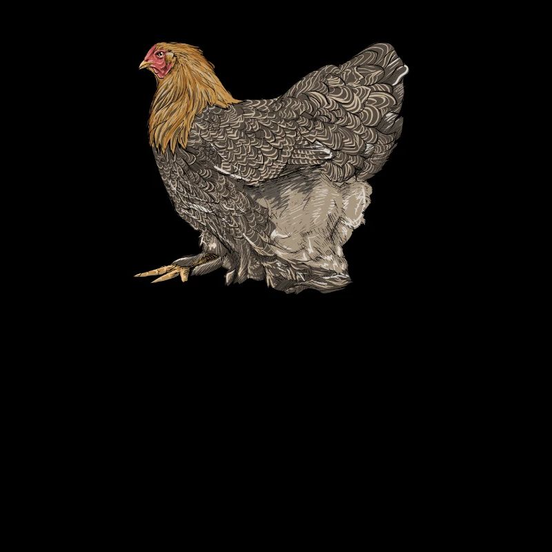 Brahma ChickenS I Chicken Poultry Motif pour
