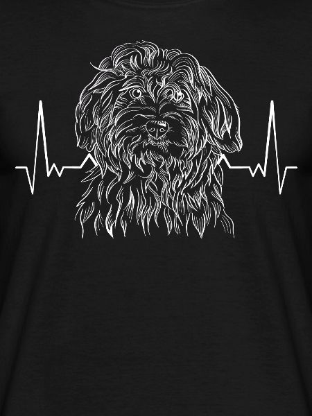 Havanese Havanese