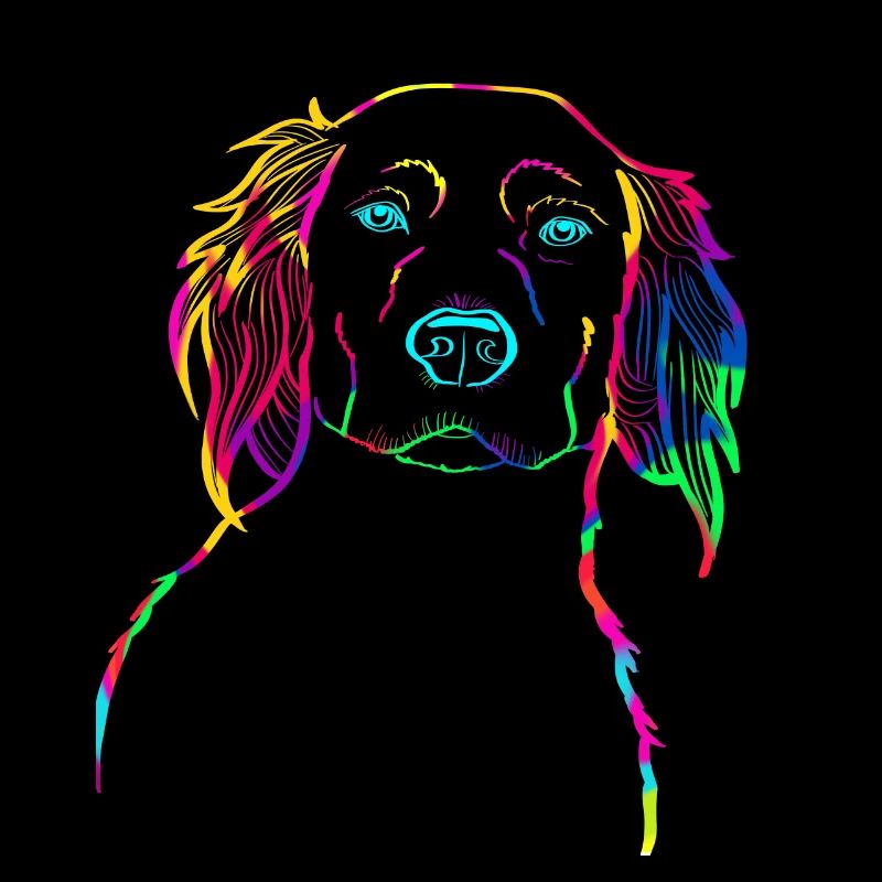 Petit Münsterländer