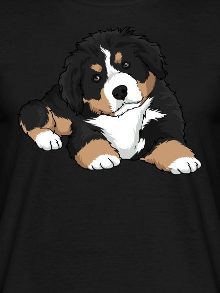 Chiot Bouvier Bernois