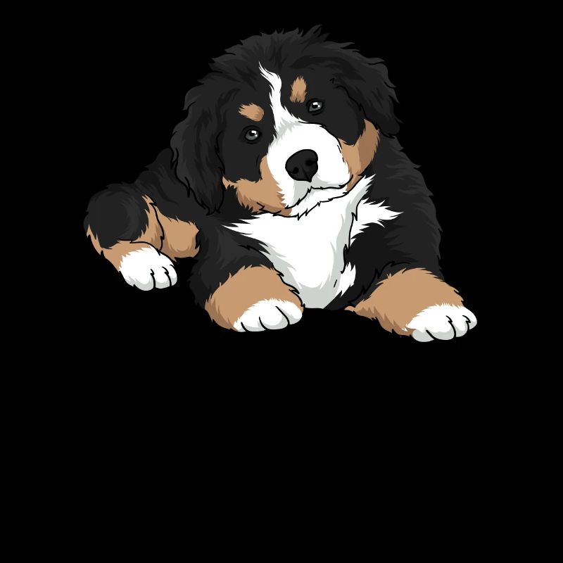 Chiot Bouvier Bernois